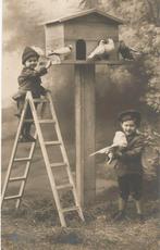 Jeugd Kinderen duiven duiventil vogels 1909, Verzenden, Voor 1920, Gelopen, Kinderen