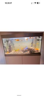 Eheim aquarium, Ophalen, Zo goed als nieuw, Leeg aquarium