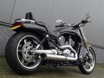 Harley-Davidson VRSCF V-ROD MUSCLE (bj 2009), Motoren, Motoren | Harley-Davidson, Chopper, Bedrijf, 1247 cc