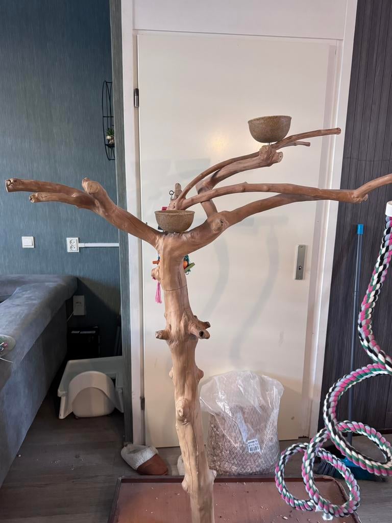 Javaboom, Dieren en Toebehoren, Vogels | Toebehoren, Ophalen, Zo goed als nieuw, Kooi-accessoires