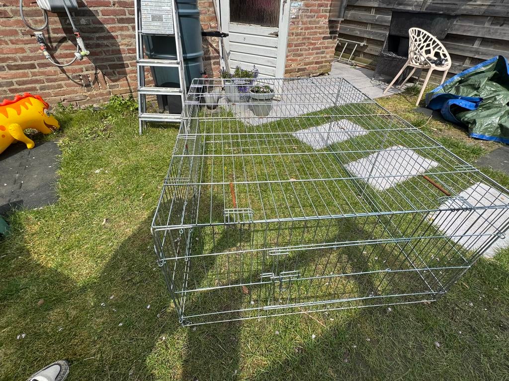 Ren buiten, Dieren en Toebehoren, Ophalen, 110 cm of meer, Ren, 60 tot 90 cm