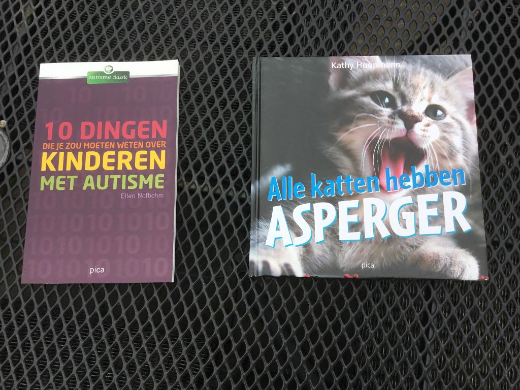 Kinderboek over Asperger; alle katten hebben Asperger, Boeken, Ophalen of Verzenden, Zo goed als nieuw, Non-fictie