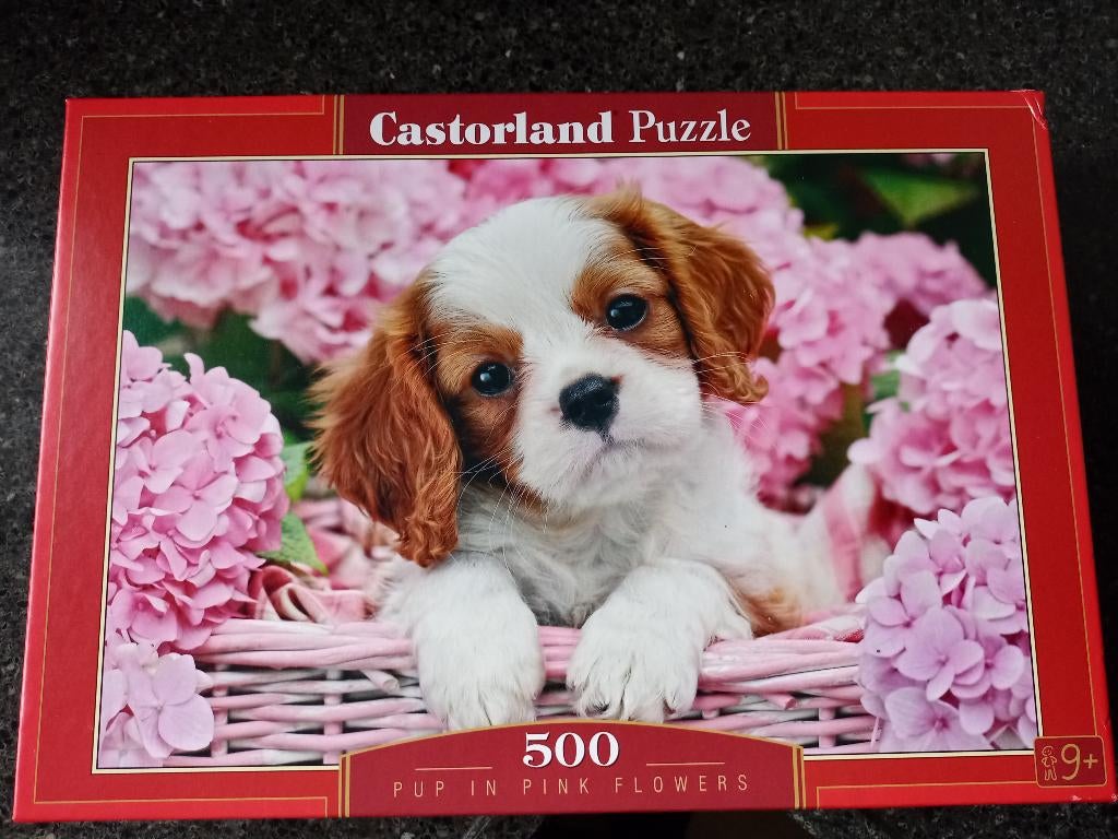 2 leuke legpuzzels, Ophalen of Verzenden, 500 t/m 1500 stukjes, Zo goed als nieuw
