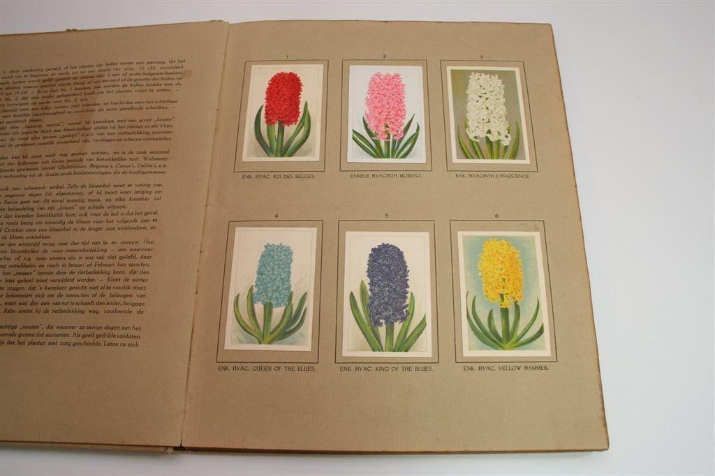 Klaverblad Album De Bloemenvelden [1918] — Compleet, Ophalen of Verzenden, Gelezen