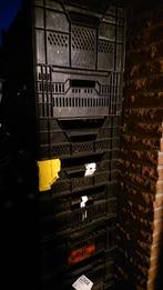 Lage Veenmankisten. Plastic kratten 40x60, Doe-het-zelf en Verbouw, Ophalen, 40 tot 60 cm, 50 tot 75 cm, Minder dan 35 cm