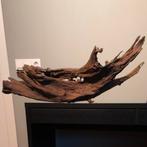 Kienhout XXXL (1m) / Driftwood / Spiderwood, Hout Decoratie, Ophalen of Verzenden, Plant(en), Steen of Hout