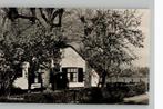 Loosdrecht (No. 103) boerderij met bloesembomen, Verzenden, 1960 tot 1980, Ongelopen, Noord-Holland