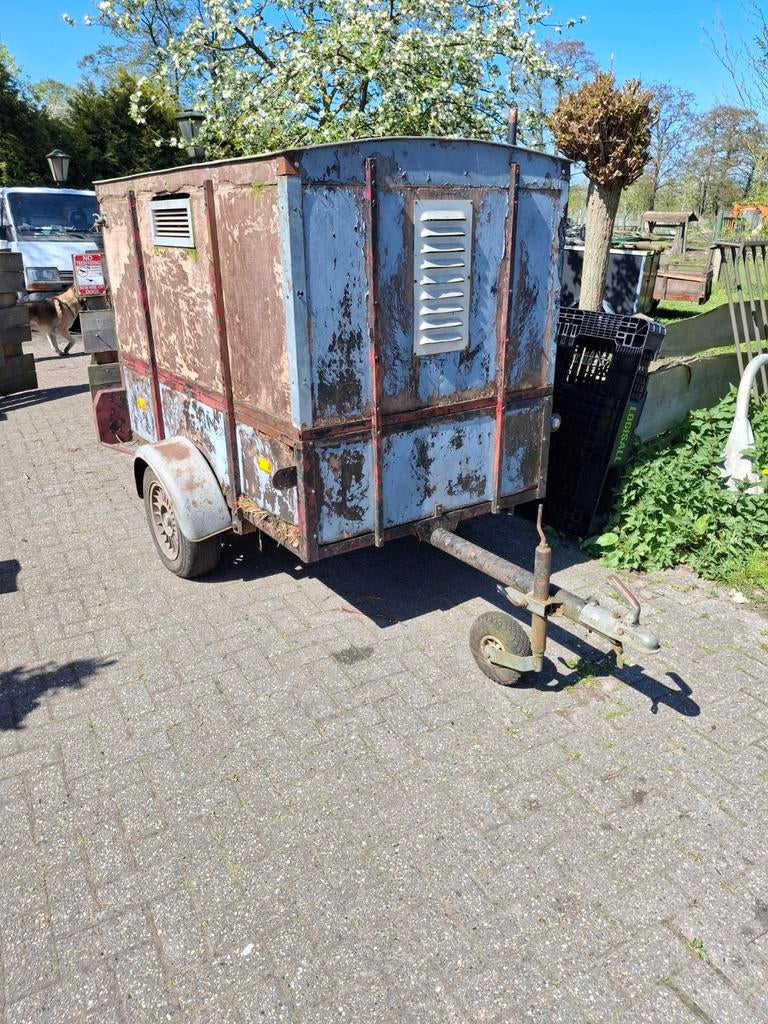 geiten of schapen kar schuilhut, Schaap