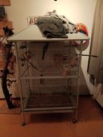 Kooi, Dieren en Toebehoren, Ophalen, Zo goed als nieuw, Metaal, Vogelkooi