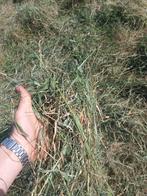 Kleine balen hooi suiker arm, Ophalen, Vee