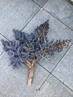 Dadeltakken vers van de boom, Ophalen