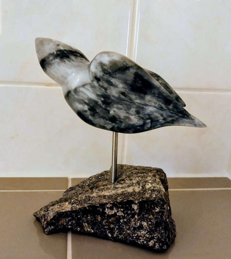 Vogel op rots 23x20, Ophalen