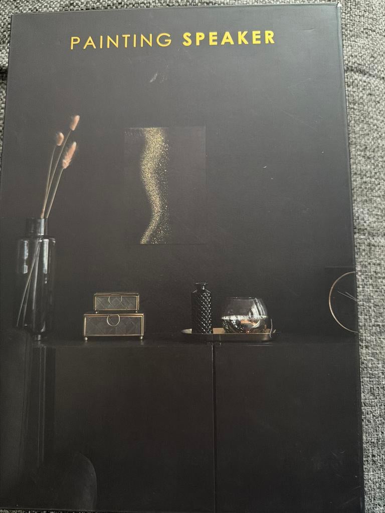 BRAINZ Painting Speaker, Audio, Tv en Foto, Luidsprekers, Overige typen, Nieuw, Minder dan 60 watt, Ophalen