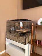 Hamster hok, Dieren en Toebehoren, Minder dan 60 cm, Gebruikt, Minder dan 75 cm, Ophalen of Verzenden
