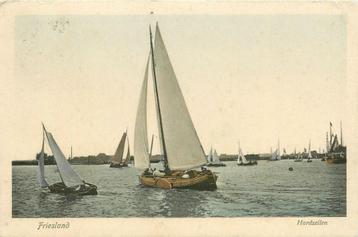 (701-043-007) Friesland Hardzeilen beschikbaar voor biedingen