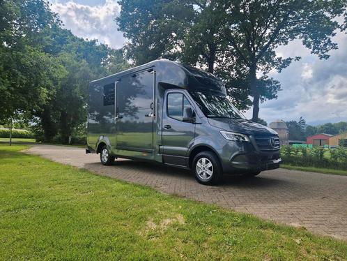 4,1 T paardenwagen Mercedes Sprinter automaat hengsten uitvo, Dieren en Toebehoren, Paarden en Pony's | Trailers en Aanhangwagens