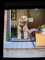 Honden tuigje. Middel grote hond., Ophalen, Zo goed als nieuw