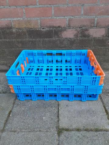 Kunststof kratten ( 60 x 40 ) beschikbaar voor biedingen