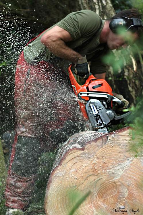 Snoeien, kappen van uw boom, snelle reactie ivm stormschade, Diensten en Vakmensen, Tuinmannen en Stratenmakers, Tuinonderhoud of Snoeiwerk