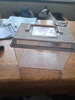 Insectenbox met Deksel voor levend aas 3x, Ophalen, Gebruikt, Overige typen