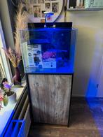 Blue marine reef 90 zeeaquarium met meubel (leeg en schoon), Ophalen, Zo goed als nieuw, Leeg aquarium