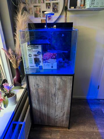 Blue marine reef 90 zeeaquarium met meubel (leeg en schoon) beschikbaar voor biedingen