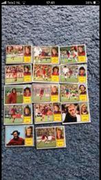 Haarlem panini vanderhout 1974-1975, Ophalen of Verzenden, Zo goed als nieuw, Ajax, Poster, Plaatje of Sticker