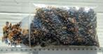 Sumatra Amber UV barnsteen, Ophalen of Verzenden, Fossiel