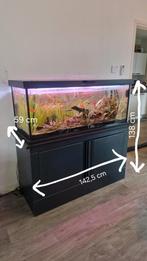 Compleet aquarium incl. Vissen en toebehoren, Dieren en Toebehoren, Ophalen, Gebruikt, Gevuld zoetwateraquarium