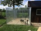 Honden kennel 600x400cm en binnen ren, Dieren en Toebehoren, Hondenhokken, Ophalen, Hondenkennel, 110 cm of meer, 100 cm of meer