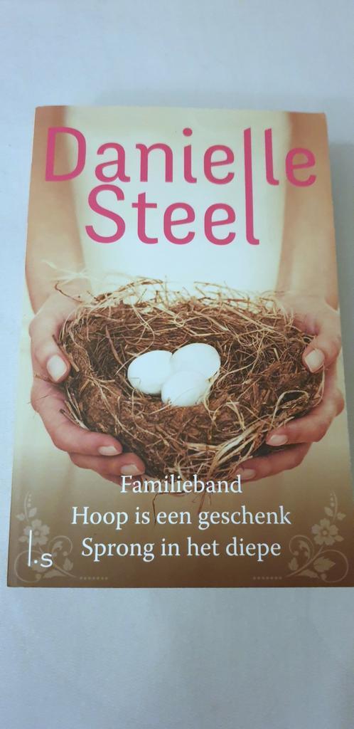 Danielle Steel -Familieband; Hoop is een geschenk, Boeken, Romans, Zo goed als nieuw, Ophalen of Verzenden
