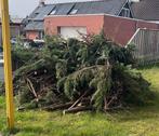 Snoeiafval voor Paasvuur, Tuin en Terras, Haardhout, Ophalen