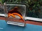 Oranje dolfijn in glas. Met relief, zon, zee, golven, Ophalen of Verzenden, Nieuw