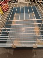 Koopje van €60 voor €25 Aveve konijnen kooi hok 100 blauw, Minder dan 60 cm, Kooi, Ophalen of Verzenden, Zo goed als nieuw