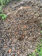 Biologische paardenmest gratis Elst, Ophalen of Verzenden