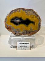 Grote Kentucky Agate, Verzamelen, Mineralen en Fossielen, Ophalen of Verzenden