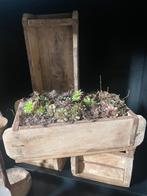 Houten steenmallen, Ophalen of Verzenden, Nieuw, Minder dan 50 cm