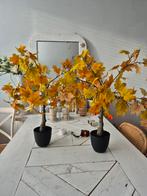 2x herfstboom, Ophalen