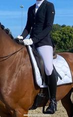 Pikeur Amelia wedstrijdjasje, Dressuur, Ophalen of Verzenden, Zo goed als nieuw, Dames