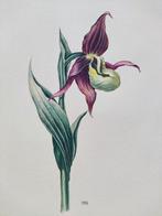 Hollandse School (XX) MK - Orchidee, Antiek en Kunst, Ophalen of Verzenden