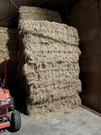 Grote balen graszaadhooi, Verzenden, Vee