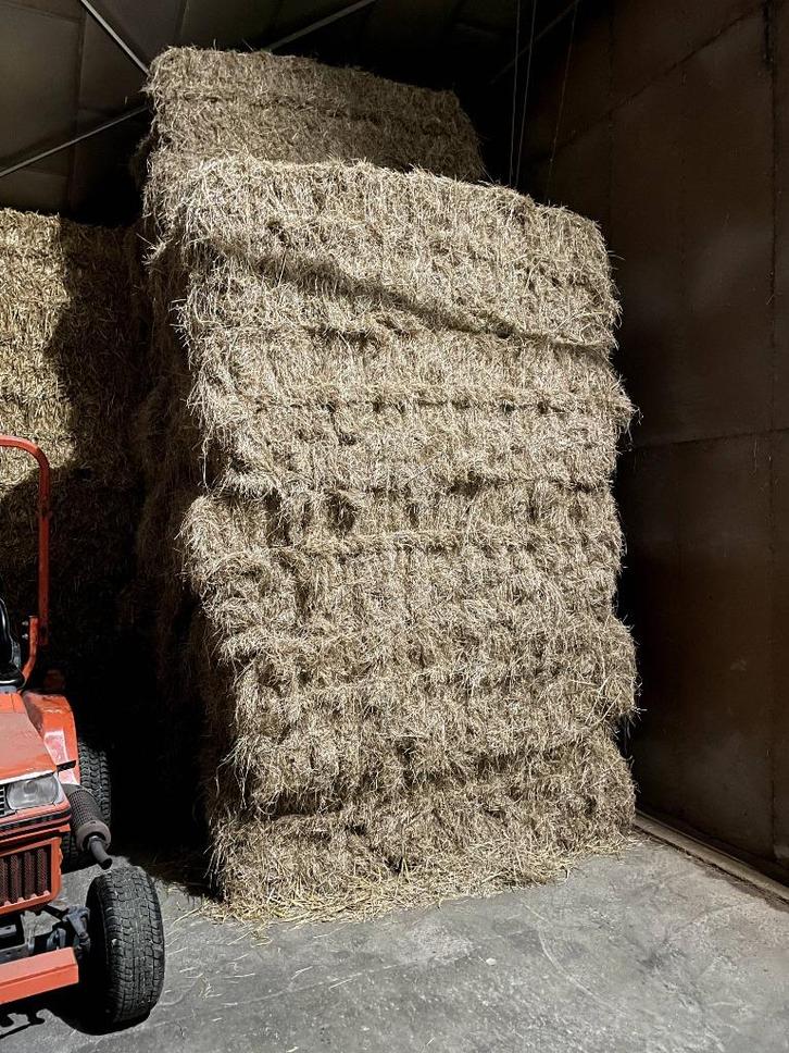 Grote balen graszaadhooi, Dieren en Toebehoren, Dierenvoeding, Vee, Verzenden
