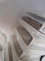 Diverse kralen en onderdelen voor sieraden maken, Ophalen of Verzenden, Gebruikt, Kraal