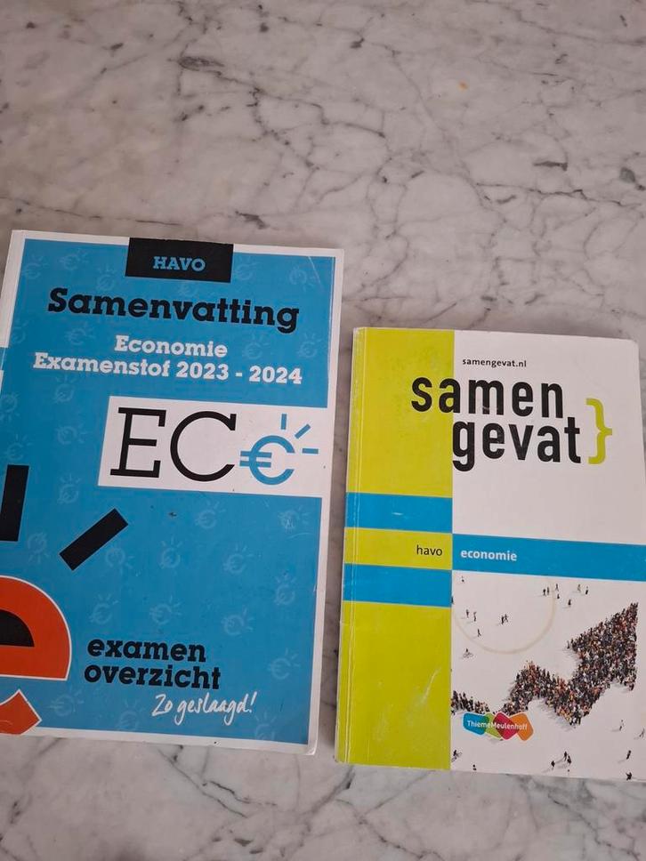 Economie HAVO Samenvattingen 2023-2024, Boeken, Schoolboeken, Zo goed als nieuw, Economie, HAVO, Ophalen of Verzenden