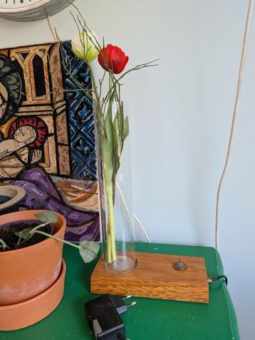 Spruitje green Dexter vaas en lamp beschikbaar voor biedingen