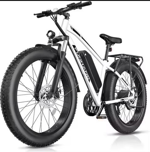 Elektrische fiets, Sport en Fitness, Overige Sport en Fitness, Zo goed als nieuw, Ophalen of Verzenden
