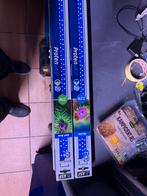 Aquarium verlichting, Ophalen of Verzenden, Zo goed als nieuw