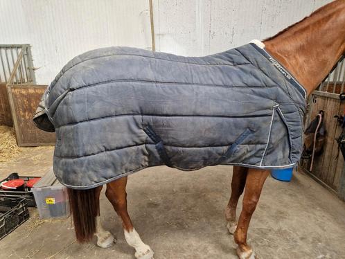 Staldekens, vliegenrijdeken en wollen deken, Dieren en Toebehoren, Paarden en Pony's | Dekens en Dekjes, Gebruikt, Ophalen of Verzenden
