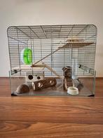 Hamsterkooi (Knaagdierkooi), Dieren en Toebehoren, Knaagdieren en Konijnen | Hokken en Kooien, Kooi, Minder dan 75 cm, Ophalen