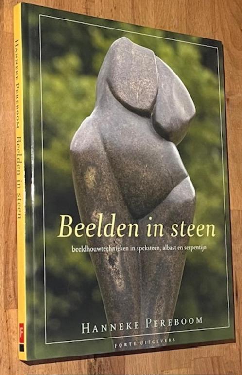 Hanneke Pereboom. Beelden in steen. Forte uitgevers. 2005, Boeken, Hobby en Vrije tijd, Gelezen, Overige onderwerpen, Ophalen of Verzenden